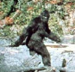 Bigfoot Field Research Organization