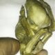 Small humanoid figure may prove alien connection