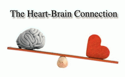 Heart-Brain-Connection