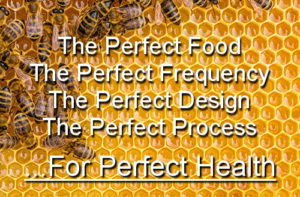 Honey Frequency for Perfect Health, Bees